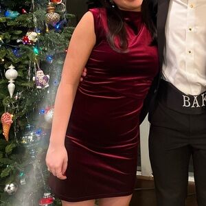 Reformation Alden Red Velvet Knit Dress